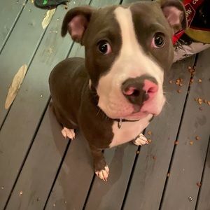 Meet your Posher, Robert